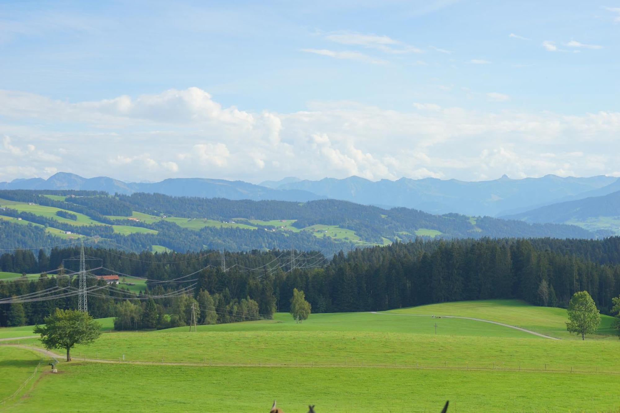 Relax - Blue Mit Pool Und Sauna Scheidegg Exterior foto